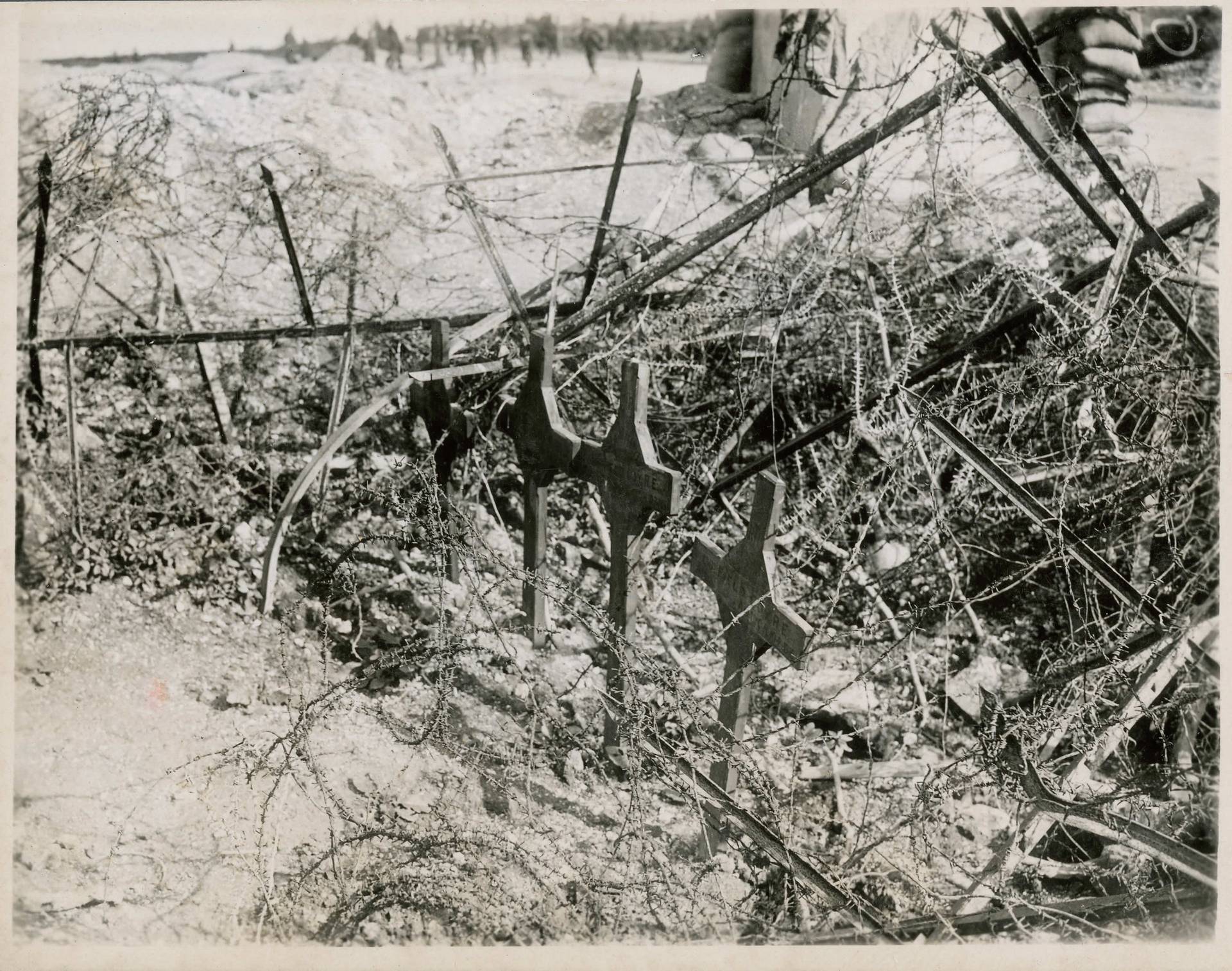 Fallen Canadians Buried in the Rubble of War