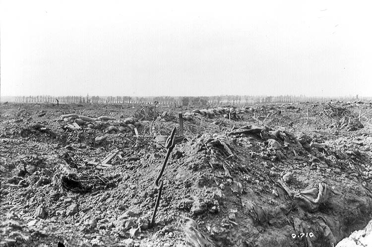 In the Aftermath of Battle