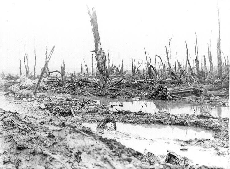 In the Aftermath of War